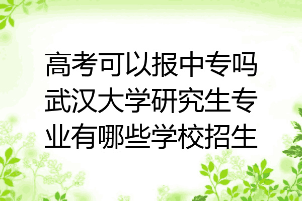 高考可以报中专吗武汉大学研究生专业有哪些学校招生