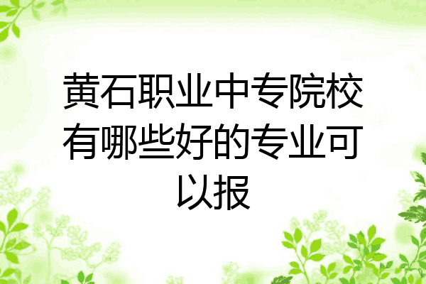 黄石职业中专院校有哪些好的专业可以报