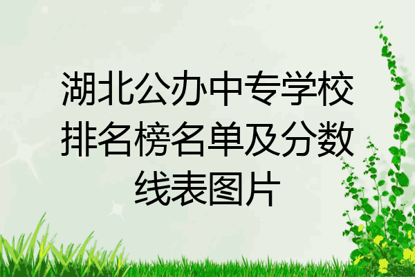 湖北公办中专学校排名榜名单及分数线表图片