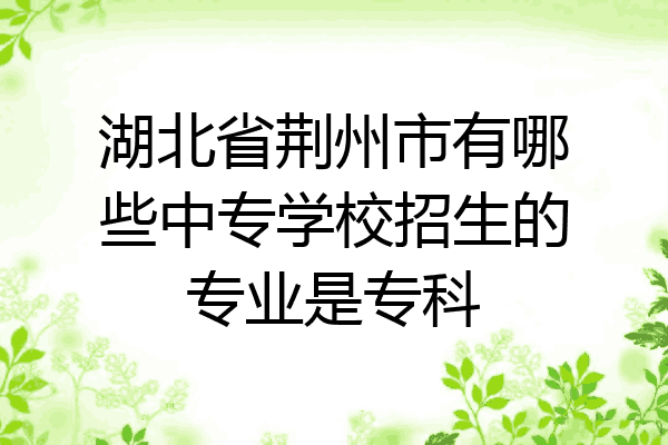 湖北省荆州市有哪些中专学校招生的专业是专科