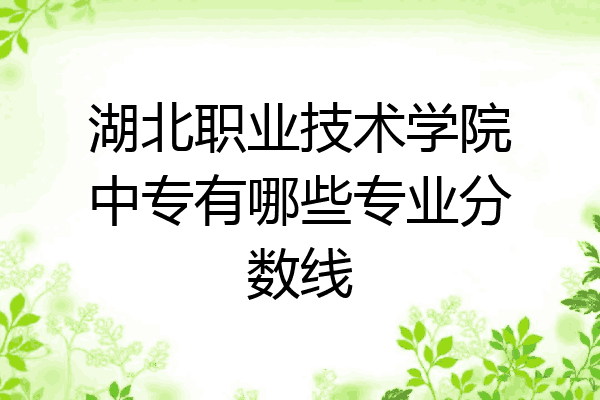 湖北职业技术学院中专有哪些专业分数线