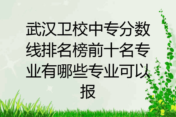 武汉卫校中专分数线排名榜前十名专业有哪些专业可以报