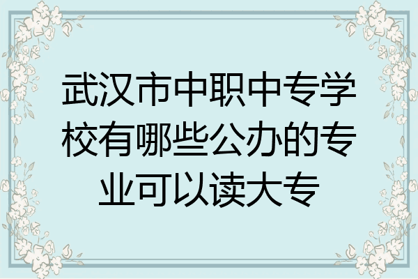 武汉市中职中专学校有哪些公办的专业可以读大专