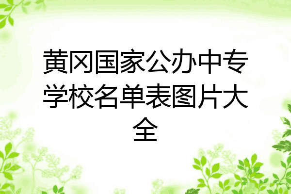 黄冈国家公办中专学校名单表图片大全