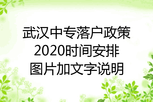 武汉中专落户政策2020时间安排图片加文字说明
