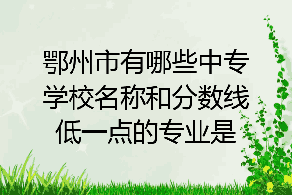 鄂州市有哪些中专学校名称和分数线低一点的专业是