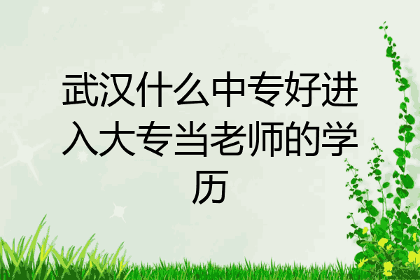 武汉什么中专好进入大专当老师的学历