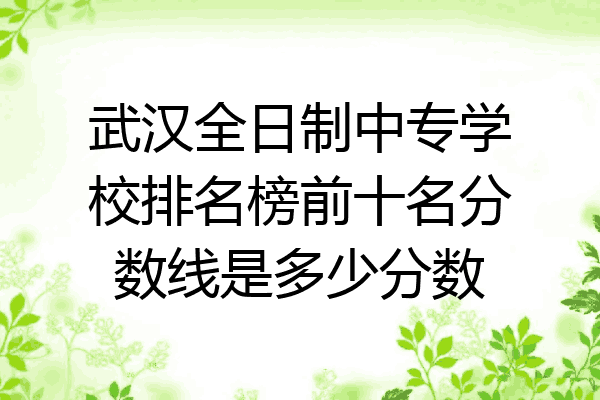 武汉全日制中专学校排名榜前十名分数线是多少分数