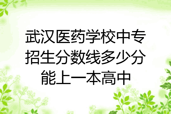 武汉医药学校中专招生分数线多少分能上一本高中