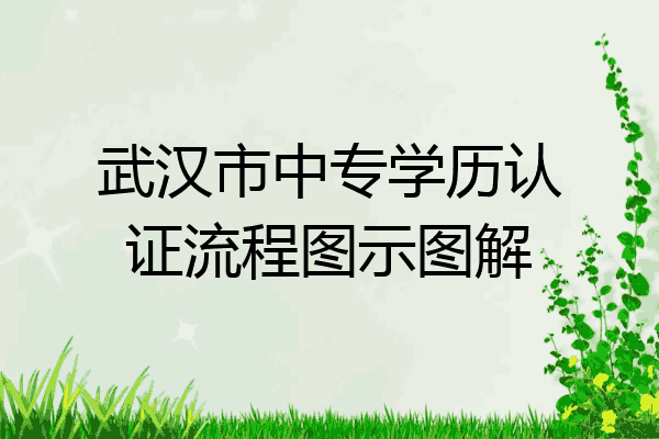 武汉市中专学历认证流程图示图解