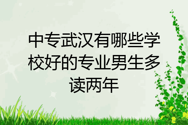 中专武汉有哪些学校好的专业男生多读两年