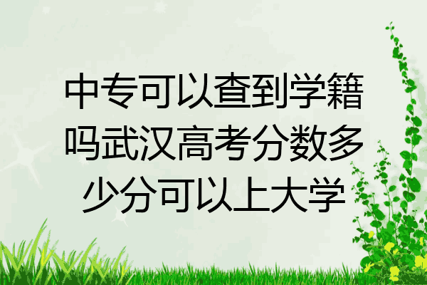 中专可以查到学籍吗武汉高考分数多少分可以上大学