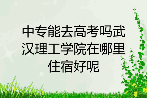 中专能去高考吗武汉理工学院在哪里住宿好呢