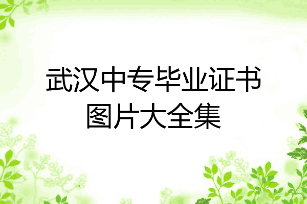 武汉中专毕业证书图片大全集