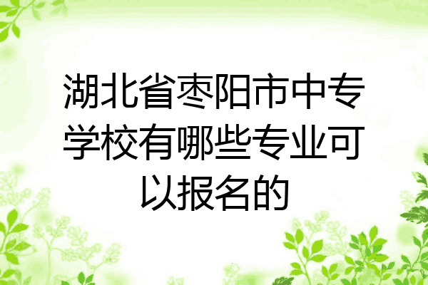 湖北省枣阳市中专学校有哪些专业可以报名的