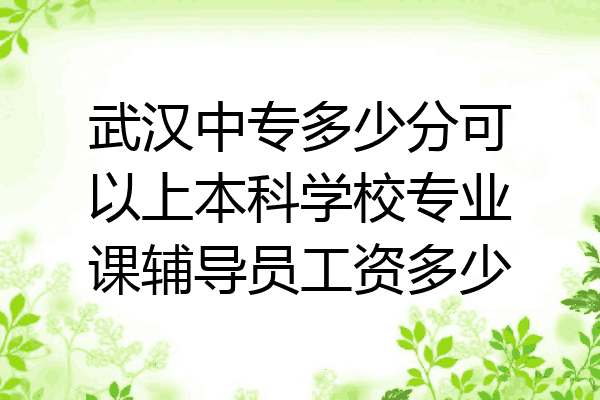武汉中专多少分可以上本科学校专业课辅导员工资多少