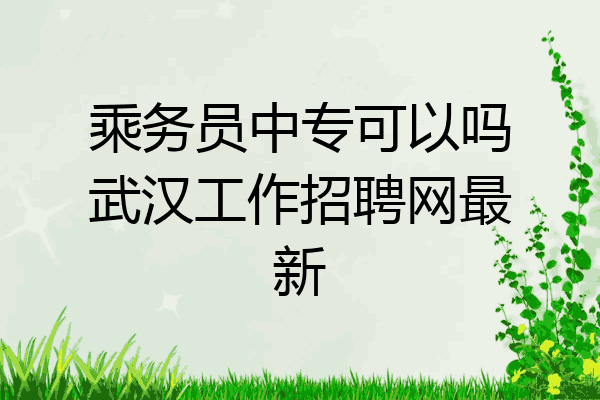 乘务员中专可以吗武汉工作招聘网最新