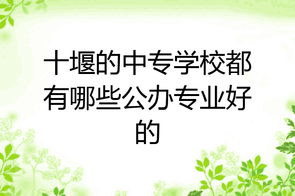 十堰的中专学校都有哪些公办专业好的
