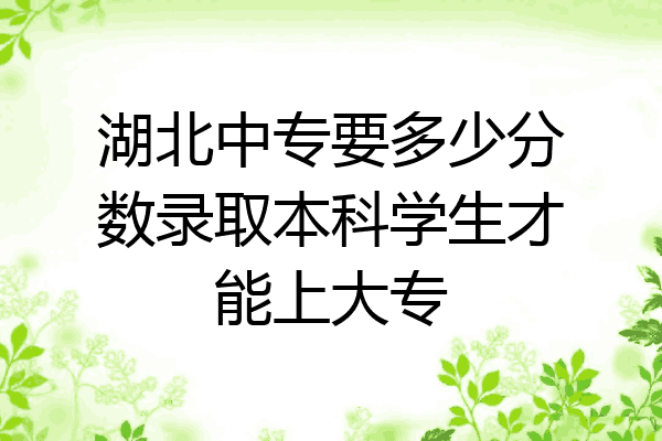 湖北中专要多少分数录取本科学生才能上大专