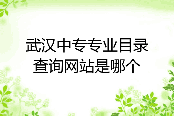 武汉中专专业目录查询网站是哪个