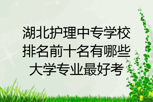 湖北护理中专学校排名前十名有哪些大学专业最好考