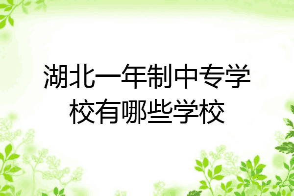 湖北一年制中专学校有哪些学校