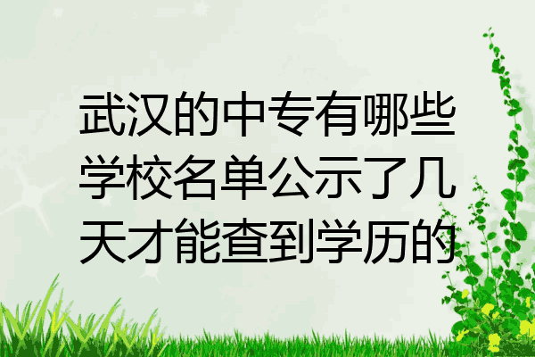 武汉的中专有哪些学校名单公示了几天才能查到学历的