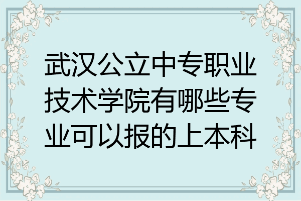武汉公立中专职业技术学院有哪些专业可以报的上本科