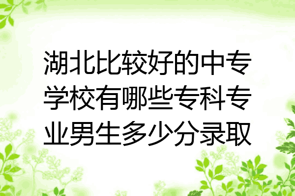 湖北比较好的中专学校有哪些专科专业男生多少分录取