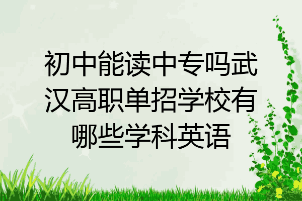 初中能读中专吗武汉高职单招学校有哪些学科英语