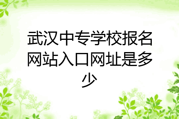 武汉中专学校报名网站入口网址是多少
