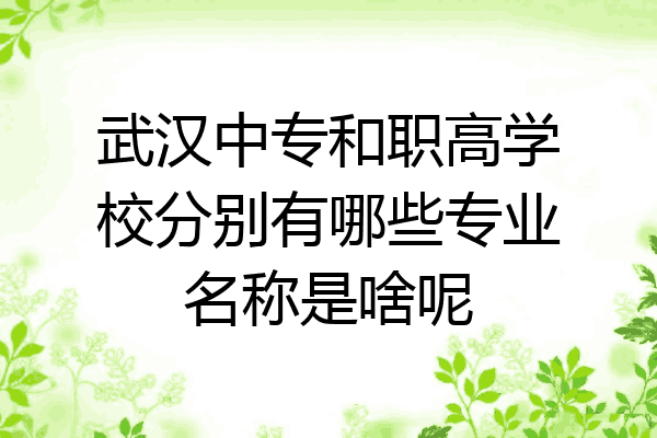 武汉中专和职高学校分别有哪些专业名称是啥呢