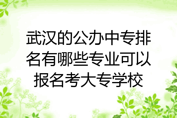 武汉的公办中专排名有哪些专业可以报名考大专学校