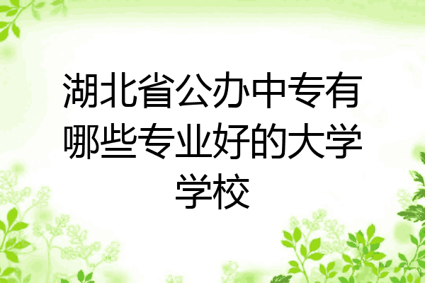 湖北省公办中专有哪些专业好的大学学校
