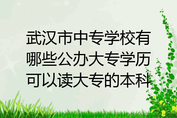 武汉市中专学校有哪些公办大专学历可以读大专的本科