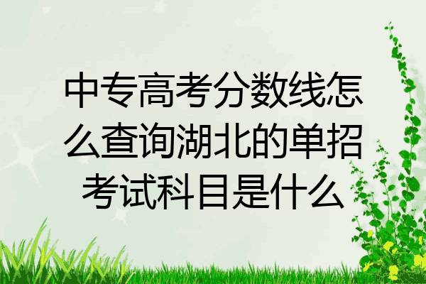 中专高考分数线怎么查询湖北的单招考试科目是什么