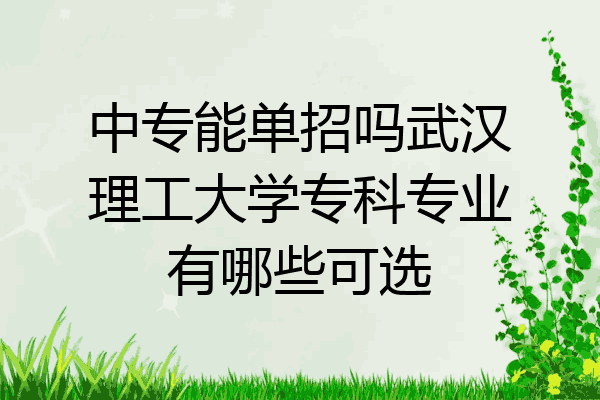 中专能单招吗武汉理工大学专科专业有哪些可选
