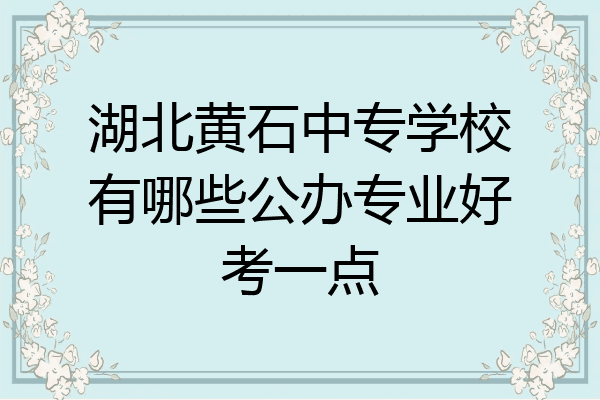 湖北黄石中专学校有哪些公办专业好考一点