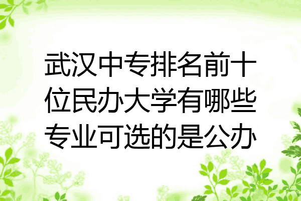 武汉中专排名前十位民办大学有哪些专业可选的是公办