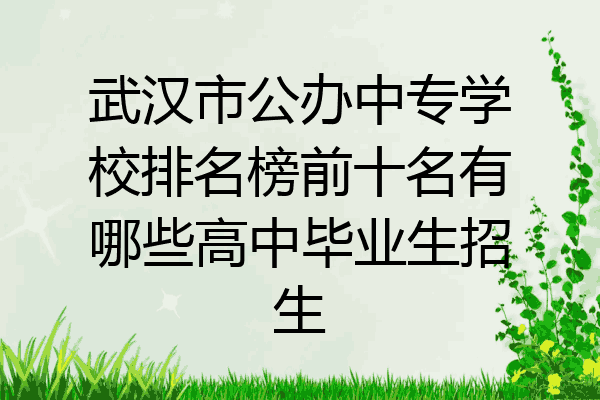 武汉市公办中专学校排名榜前十名有哪些高中毕业生招生
