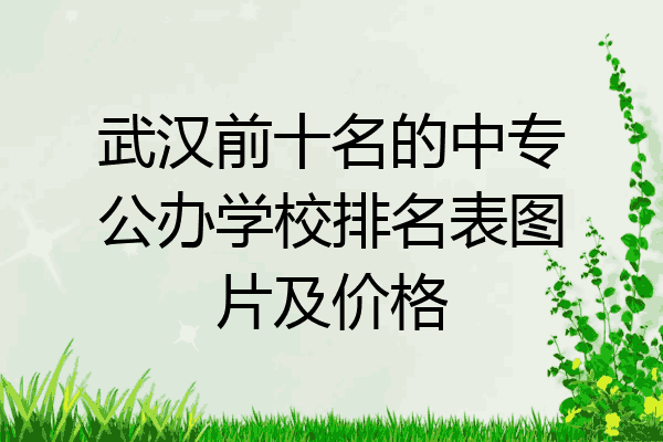 武汉前十名的中专公办学校排名表图片及价格