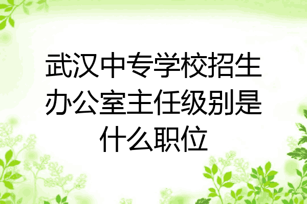 武汉中专学校招生办公室主任级别是什么职位