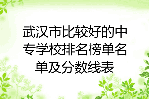 武汉市比较好的中专学校排名榜单名单及分数线表