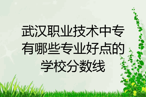 武汉职业技术中专有哪些专业好点的学校分数线