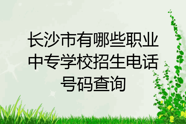 长沙市有哪些职业中专学校招生电话号码查询