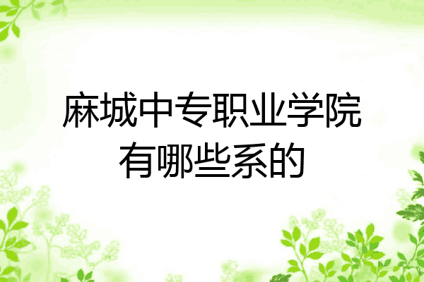 麻城中专职业学院有哪些系的