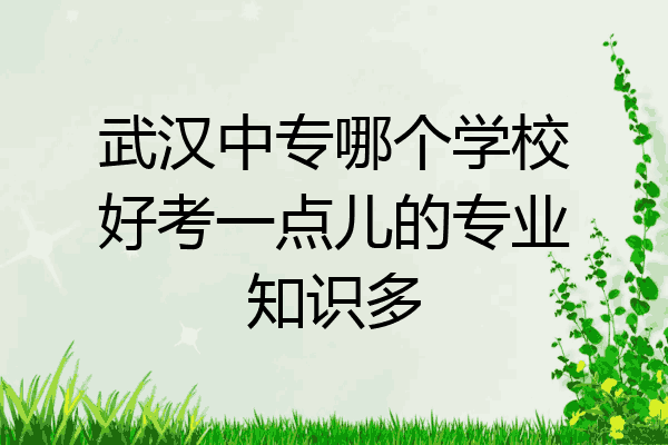 武汉中专哪个学校好考一点儿的专业知识多