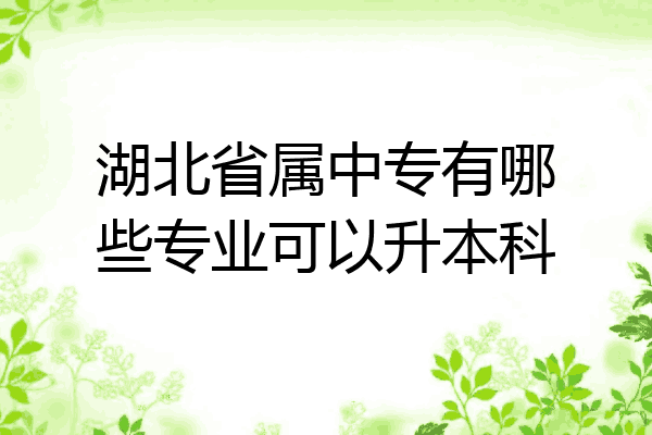 湖北省属中专有哪些专业可以升本科