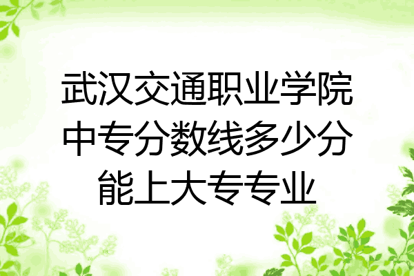 武汉交通职业学院中专分数线多少分能上大专专业