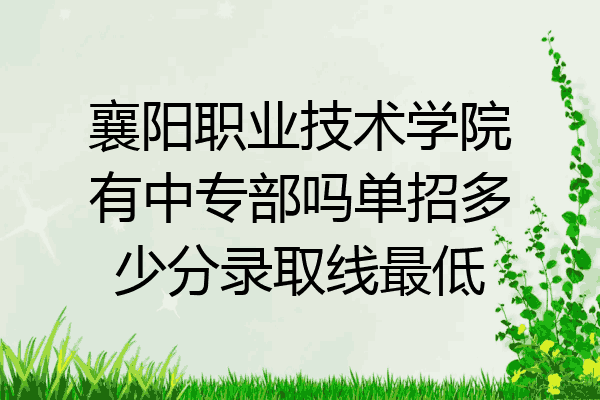 襄阳职业技术学院有中专部吗单招多少分录取线最低